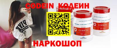 ешки Кингисепп