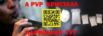 ешки Кингисепп