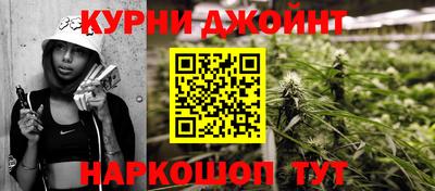 ешки Кингисепп
