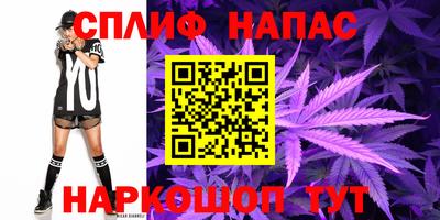 ешки Кингисепп