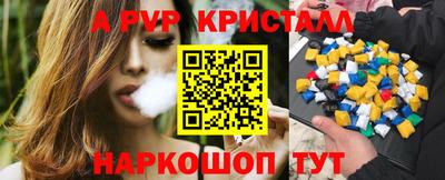 ешки Кингисепп
