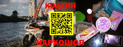 ешки Кингисепп