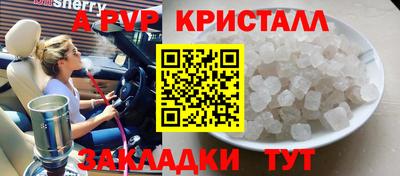 ешки Кингисепп