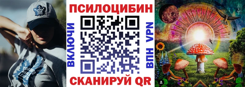 Галлюциногенные грибы Cubensis  закладка  Южноуральск 