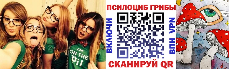 Псилоцибиновые грибы Psilocybe Южноуральск