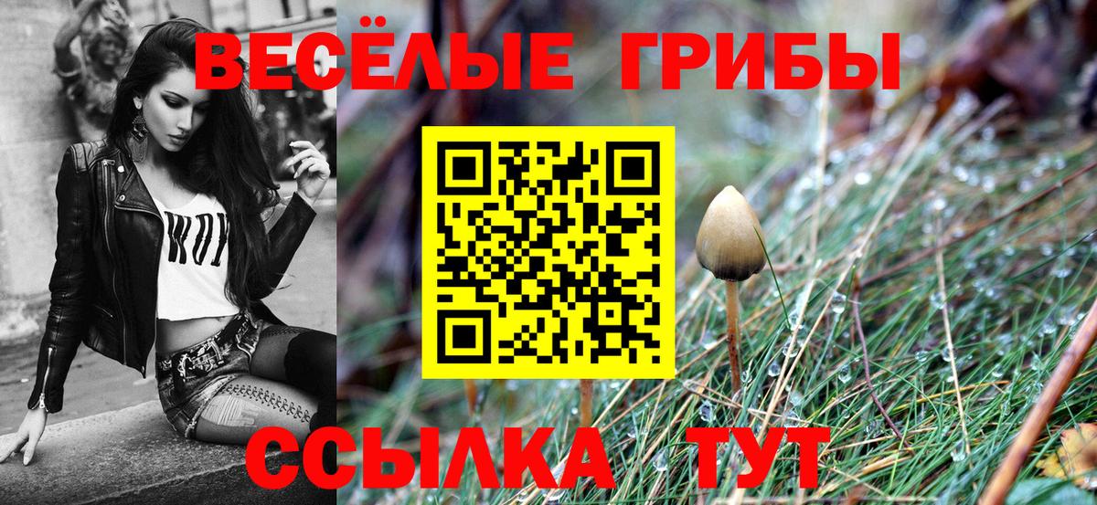 Галлюциногенные грибы Psilocybine cubensis Южноуральск