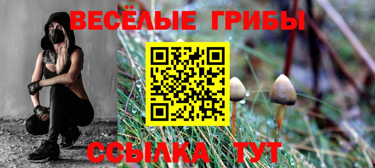 Южноуральск  Галлюциногенные грибы Psilocybine cubensis  Вход с VPN  Псилоцибиновые грибы мицелий 