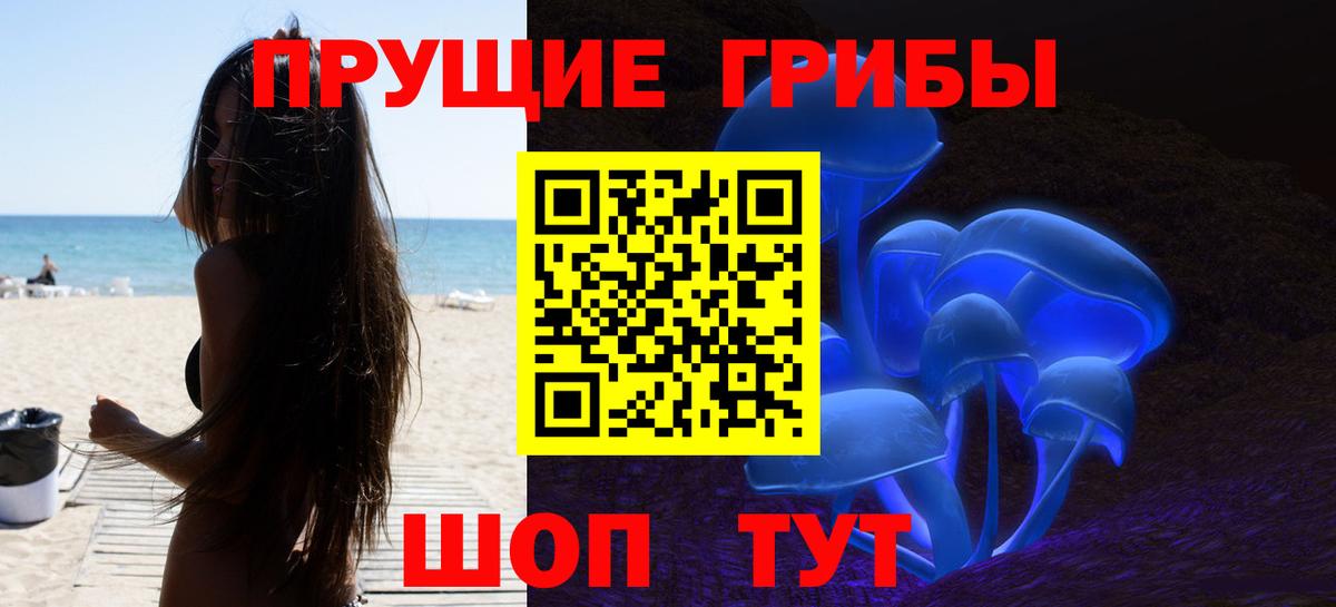 Галлюциногенные грибы Psilocybe Южноуральск